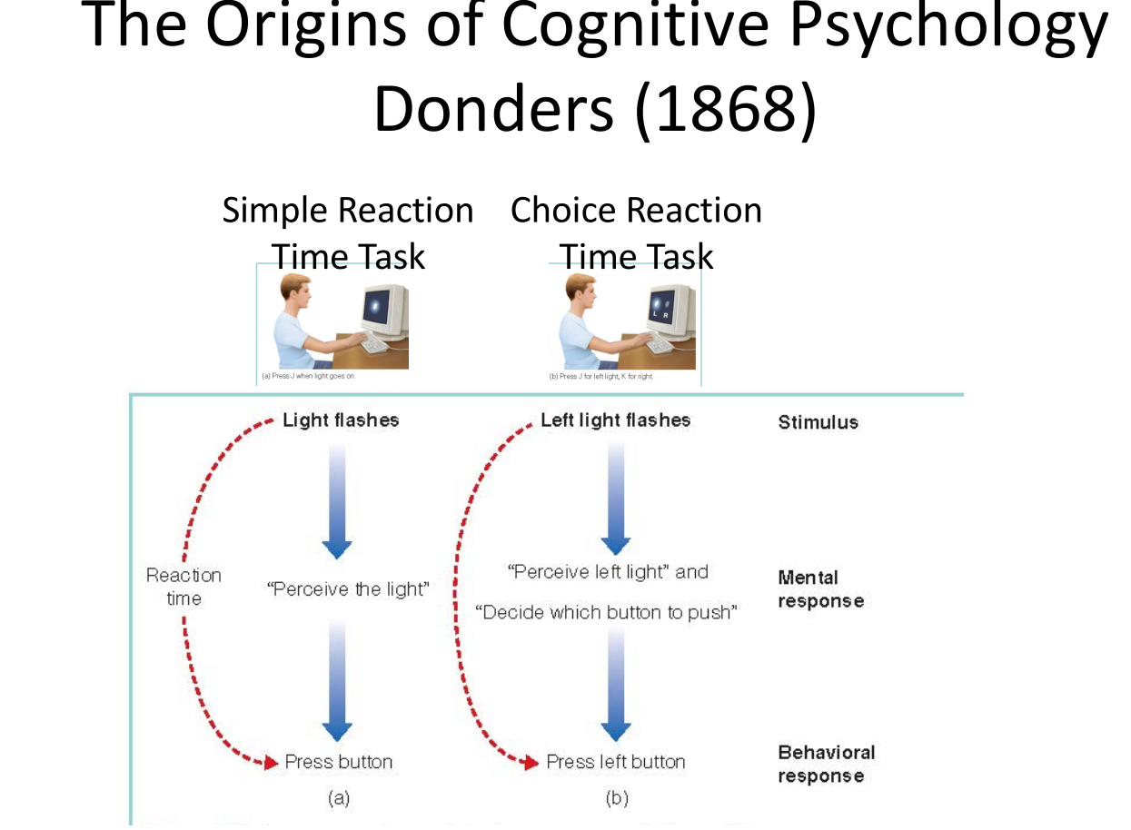 <p>-Wanted to determine how long it takes for a person to make a decision</p><p>-He first measured simple reaction time by asking participants to push the button when they see the light</p><p>-He then measured Choice Reaction Time by using two lights, participants would then push the button corresponding to the side of the light</p>