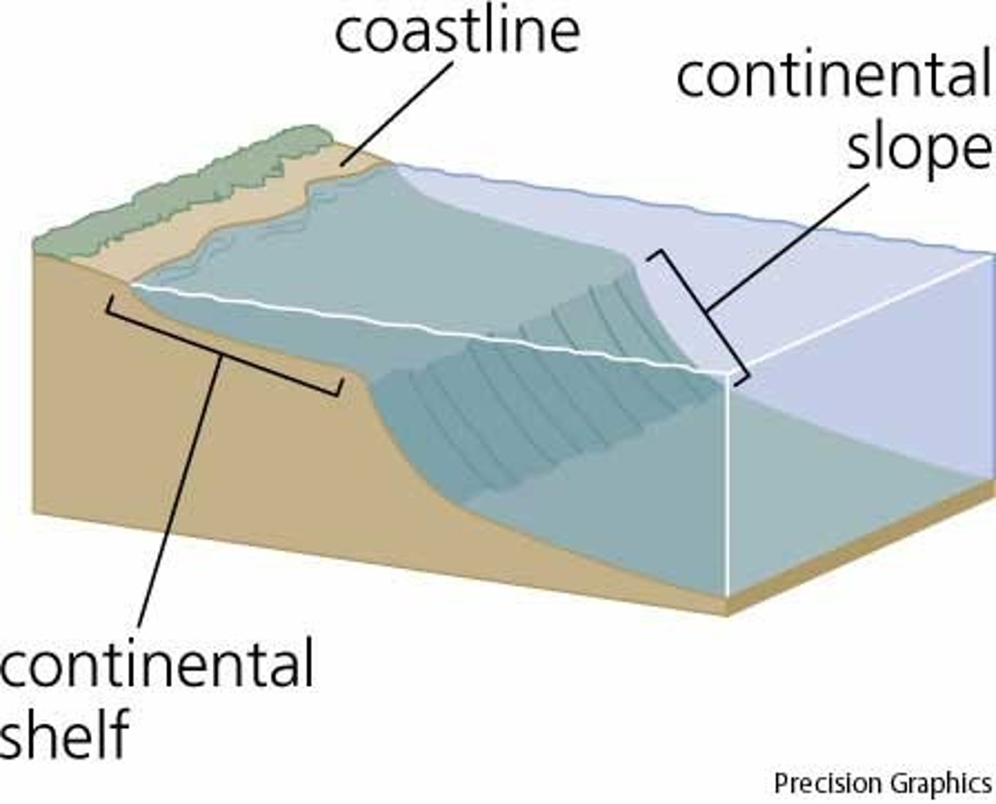 <p>the STEEP DROP of the seabed from the continental shelf to the abyssal zone. Connects the continental shelf to the ocean floor.</p>