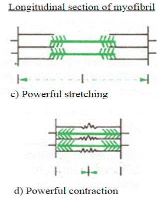 <p>19, 22</p><p>fewer, less</p><p>less</p>