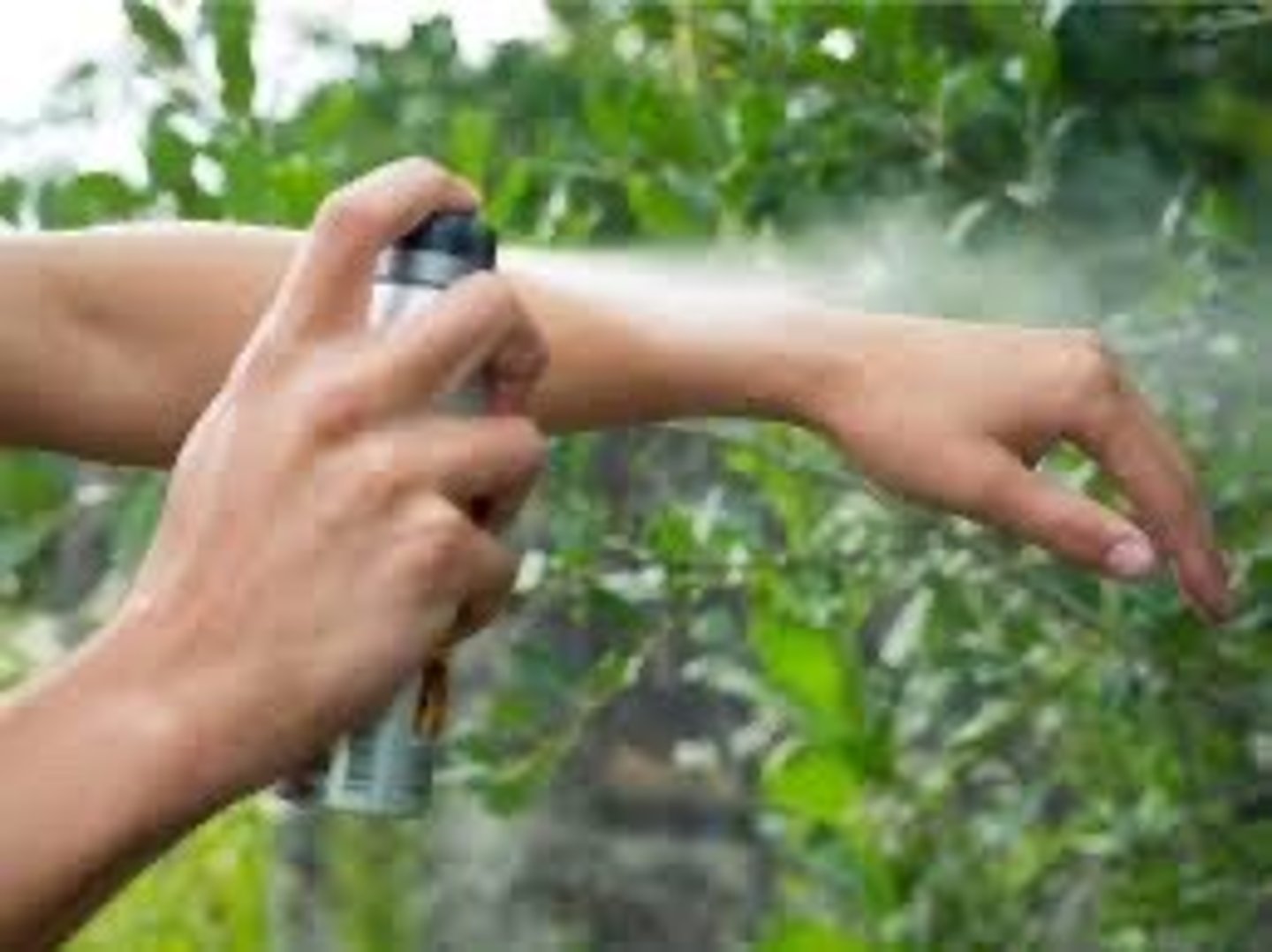 <p>insect repellent</p>