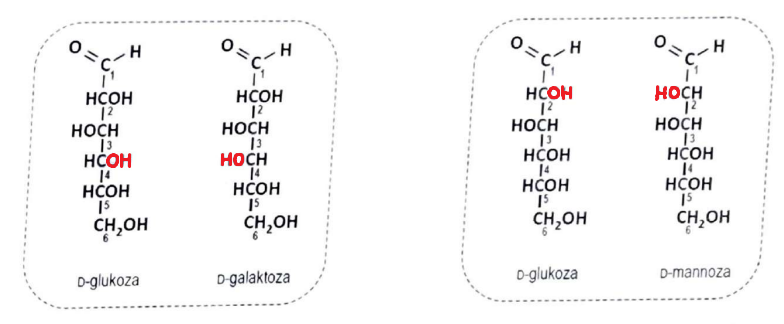 <p>epimery to diastereoizomery konfiguracyjne różniące się położeniem atomów wokół tylko jednego centrum chiralności </p>