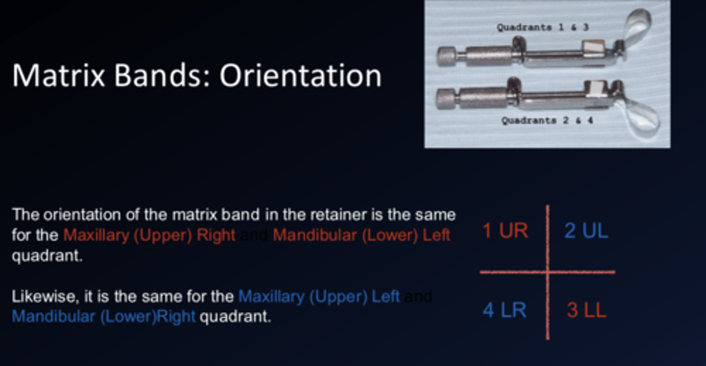 <p>max right = mand left</p><p>max left = mand right</p>