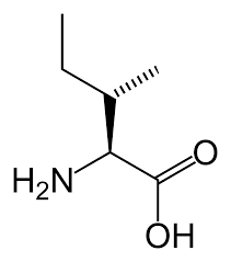 C6H13NO2