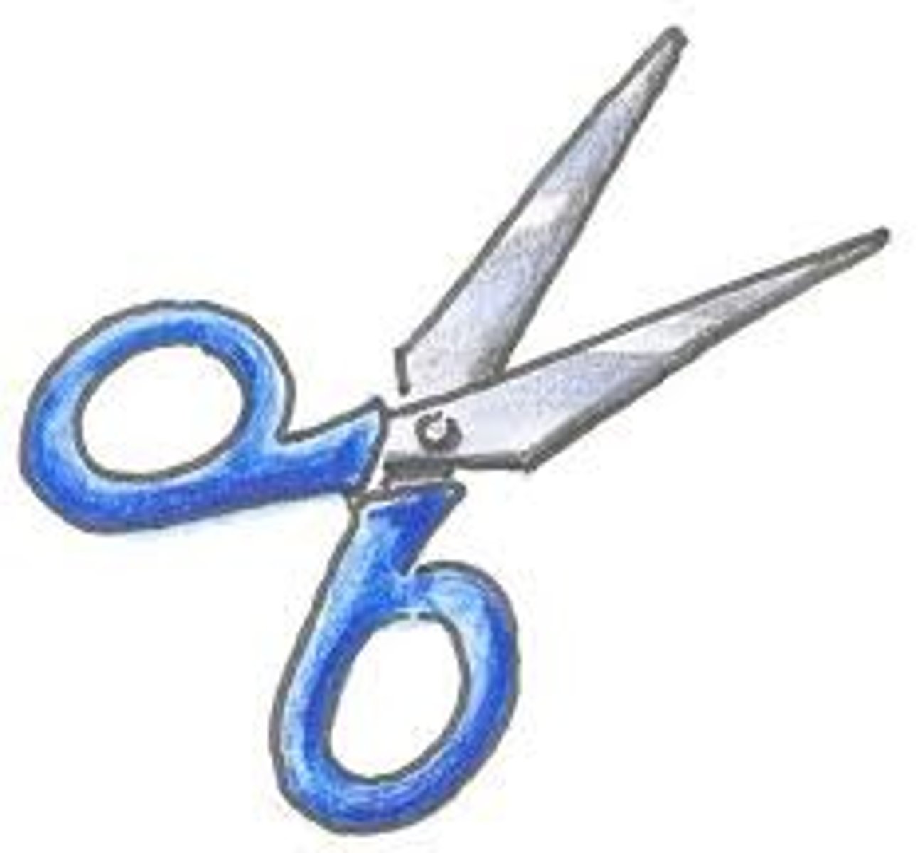<p>scissors</p>