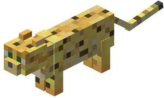 <p>ocelot</p>