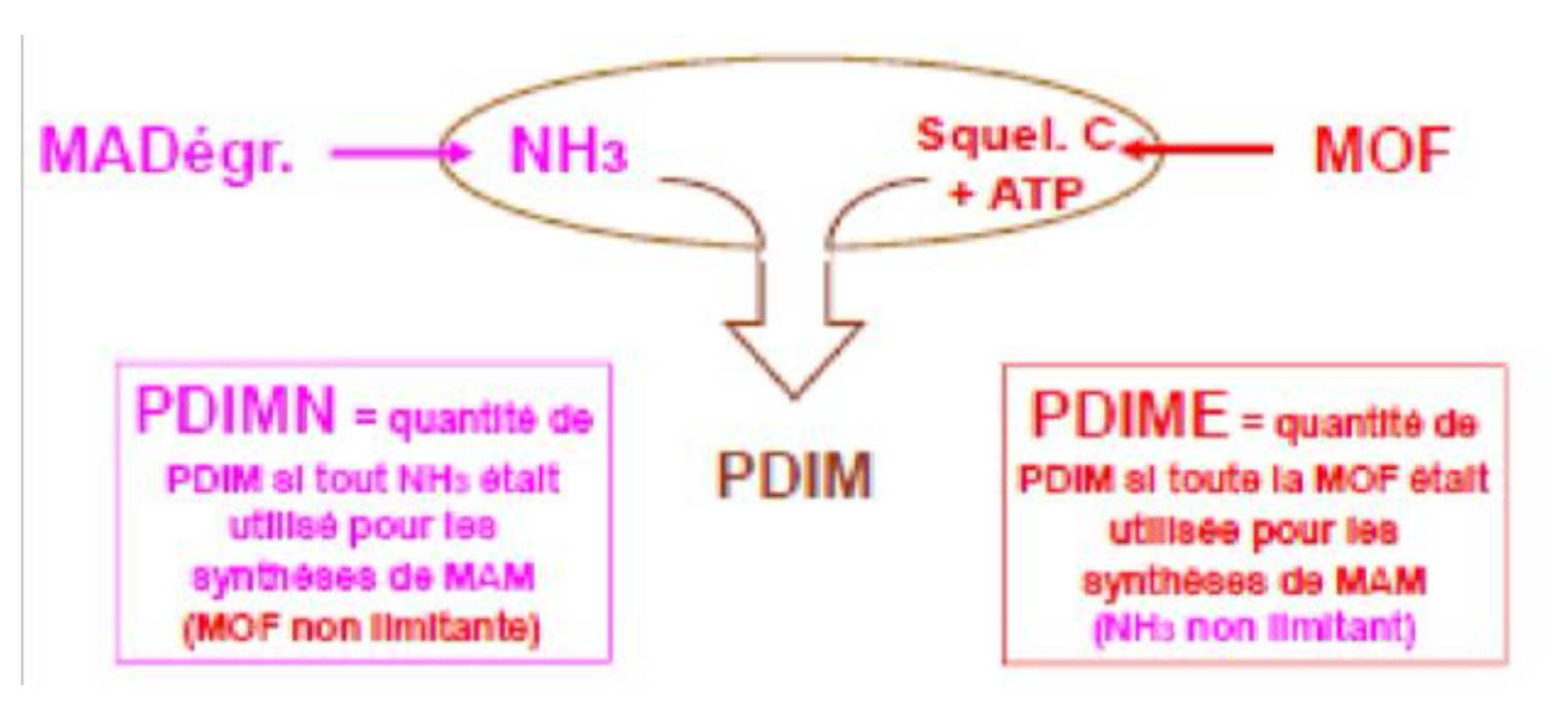 <p>PDIME : Protéine Digérée dans l’Intestin d’origine Microbienne permise par l’Energie = reflète la quantité de matière organique fermentée d’un aliment.</p><p>PDIMN : Protéine Digérée dans l’Intestin d’origine Microbienne permise par l’azote = reflète leur teneur en matière azotée dégradable.</p><p>Ces deux valeurs sont égales quand on est à l’équilibre idéal.</p>
