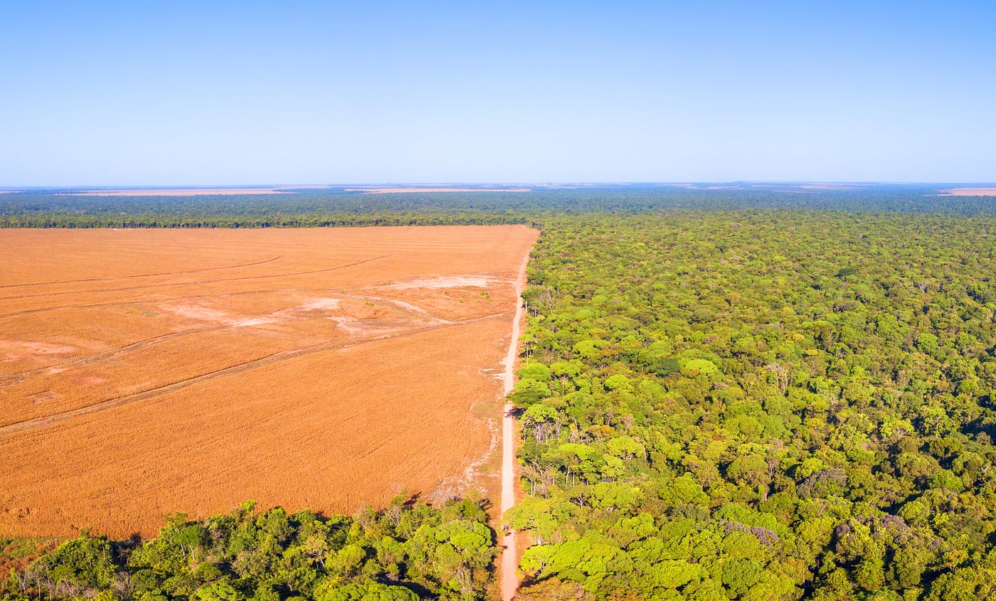 <ul><li><p>Large areas of land are cleared to produce farmland</p></li><li><p>This is done in areas where climate is favourable and soils are fertile, like where the natural biomes are (forests or grasslands)</p></li></ul><p></p>