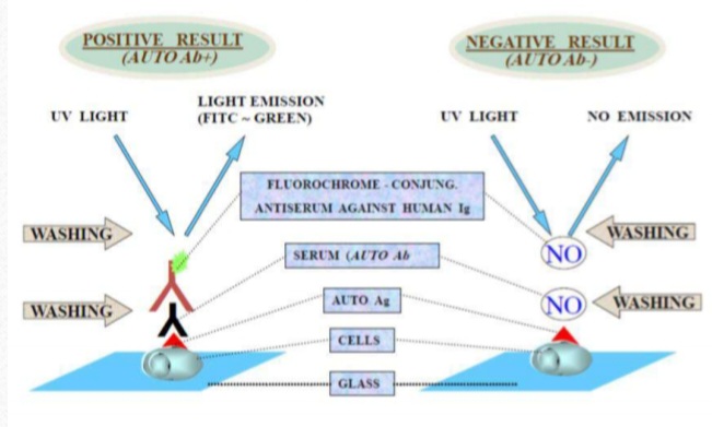 <p>Identify & enumerate the usage </p>