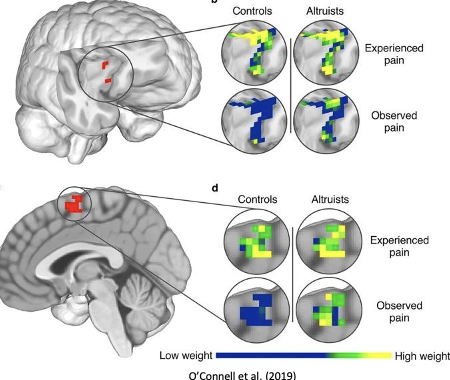<ul><li><p><span><span>Anticipate or experience pain to themselves or others</span></span></p></li><li><p><span><span>Relative to controls, altruists showed increased cross-classification during the observing and experiencing pain in the right anterior insula and supplementary motor areas </span></span></p><ul><li><p><span><span>are these the mirroring regions?</span></span></p></li></ul></li></ul><p></p>