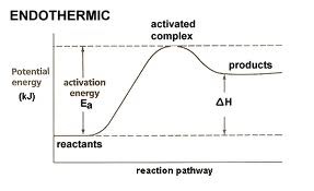 <p>If the products have weaker bonds than the reactants, then the products have higher enthalpy than the reactants and are less stable; in this case, energy is absorbed by the reaction, or the reaction is exothermic.</p>