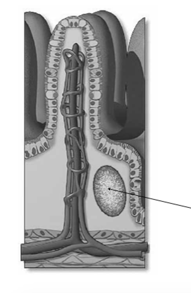 <p>what is this?</p>