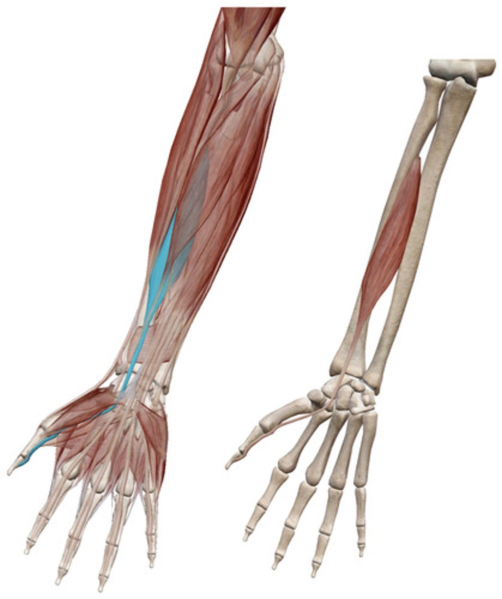knowt flashcard image