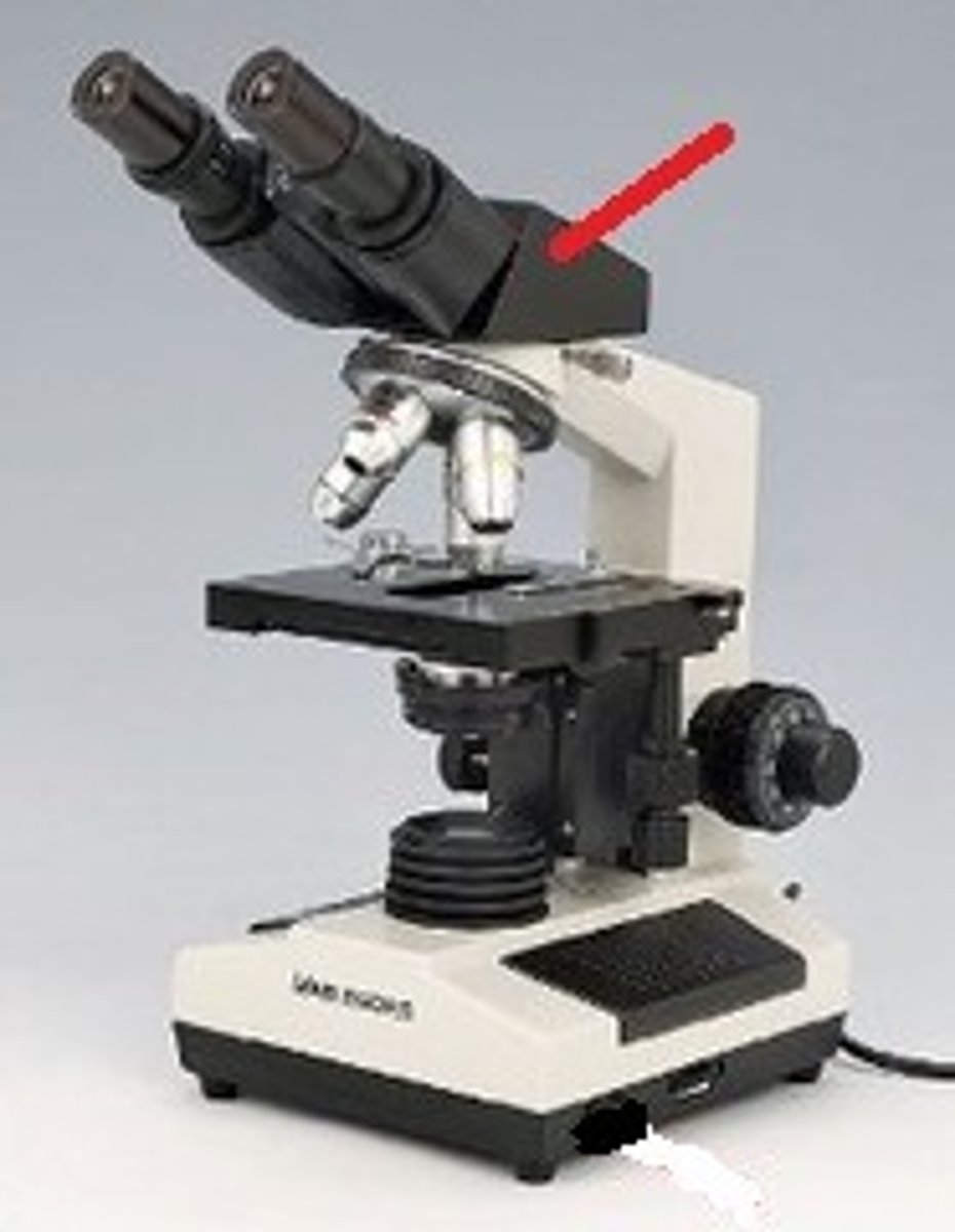 <p>(connects eyepieces with objective lens)</p><p>(forms intermediate image)</p>