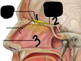 <p>Label 3</p>