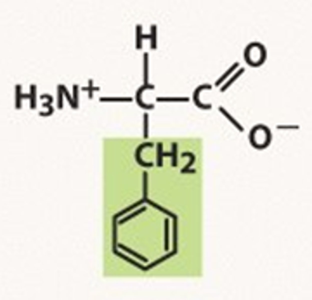 <p>Phe, F, nonpolar</p>
