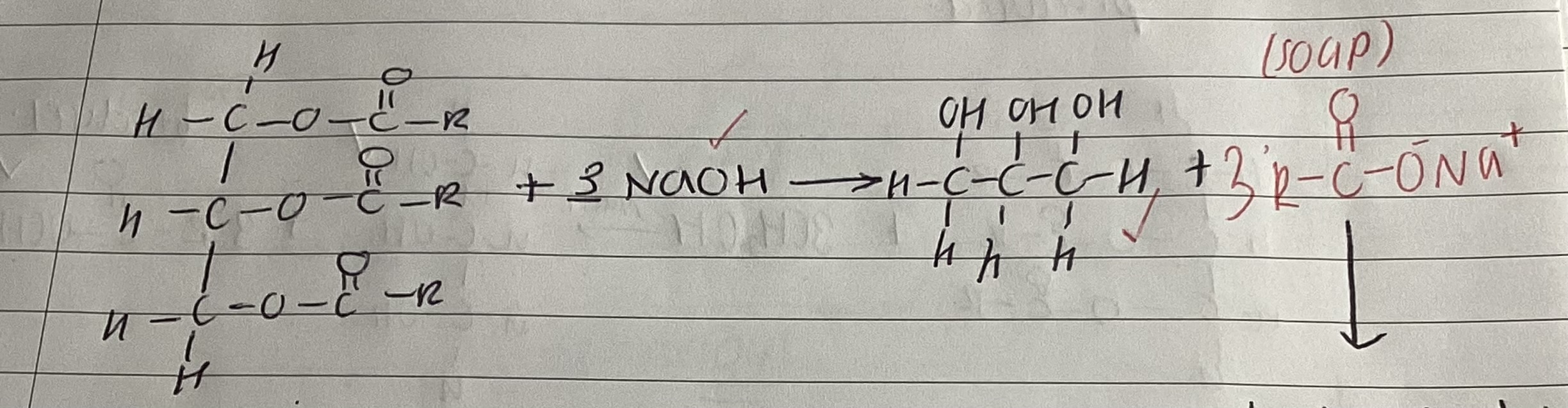 knowt flashcard image