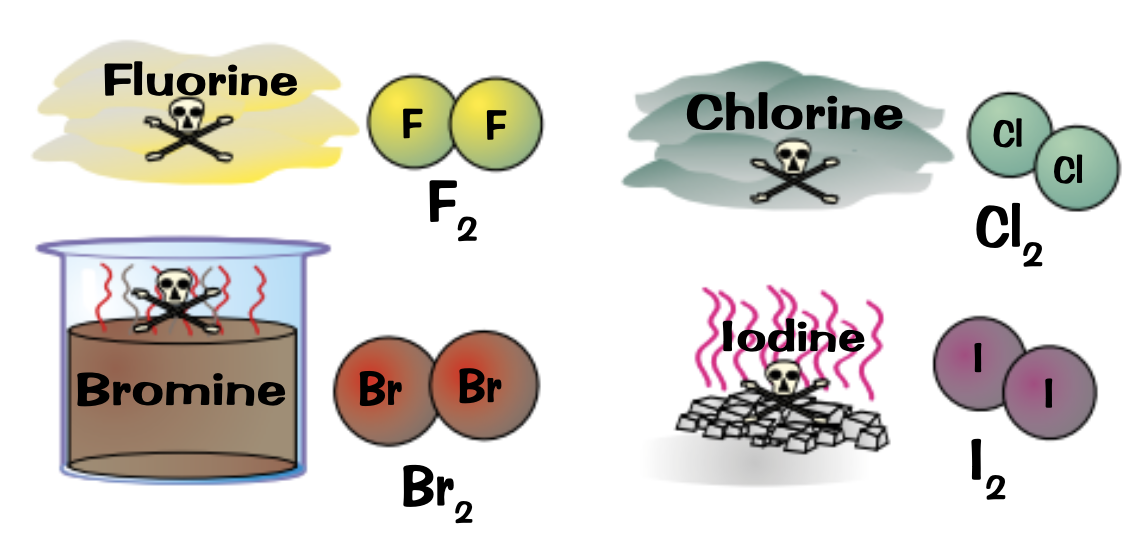 <p>Fluorine: very reactive, poisonous, yellow gas</p><p>Chlorine: fairly reactive, poisonous, dense green gas</p><p>Bromine: Dense, poisonous, red-brown volatile liquid</p><p>Iodine: Dark grey crystalline solid or purple vapour</p>