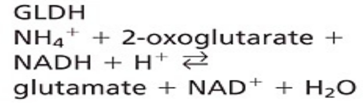 <p>GLDH coupled enzymatic</p>