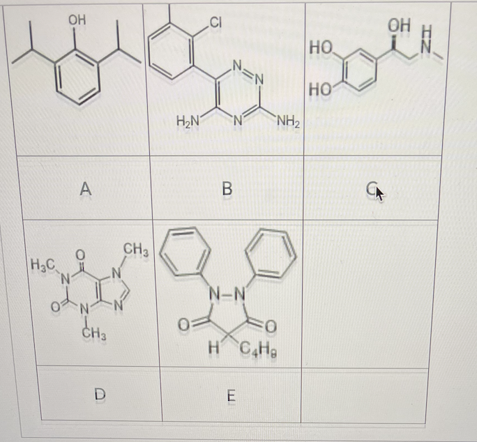 <p>Which of the following compounds can undergo direct glucuronidation?</p>