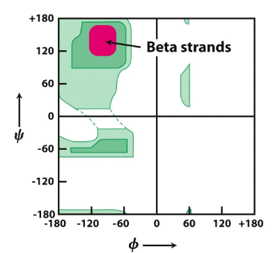 <p>Consecutive dihedral angles of (Φ, ψ) of -120° and 120°</p>