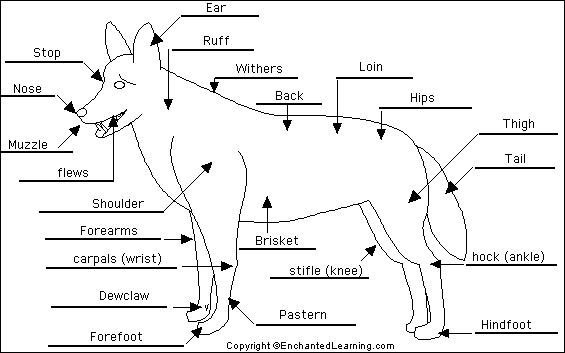 <p>Regional Terminology</p>