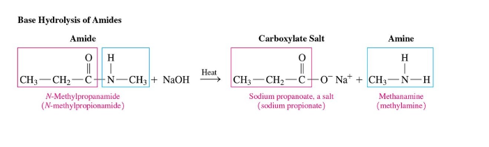 <ul><li><p>requires base + heat</p></li><li><p>produces amine (or ammonia) and carboxylate salt</p></li></ul>