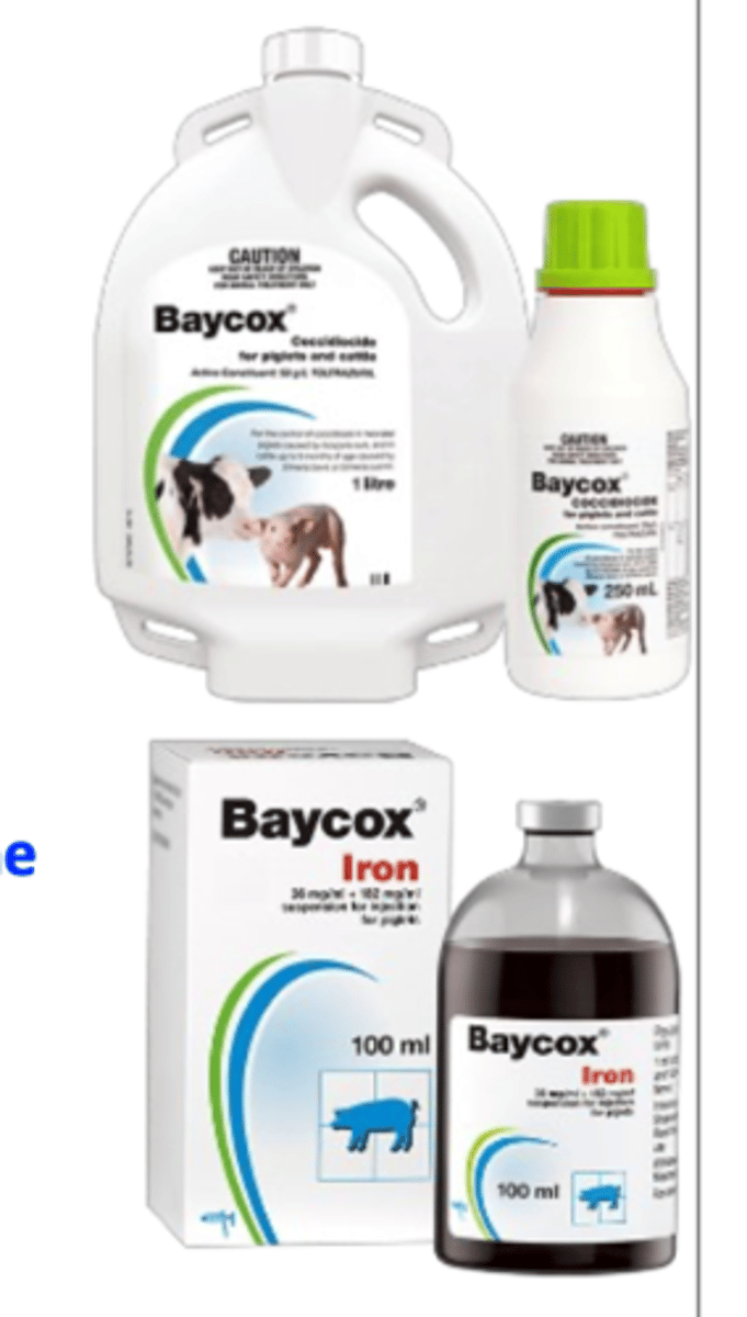 <p>Toltrazuril (Baycox) (oral and injectable formulations)</p><p>Treat all the piglets in a litter, all infected and ‘at risk’ litters in the farrowing house.</p><p>• In stocks at risk treat metaphylactically when pigs are 3-5 days of age (this treatment prevent deaths and reduce losses);</p><p>Chemoresistance has developed</p>