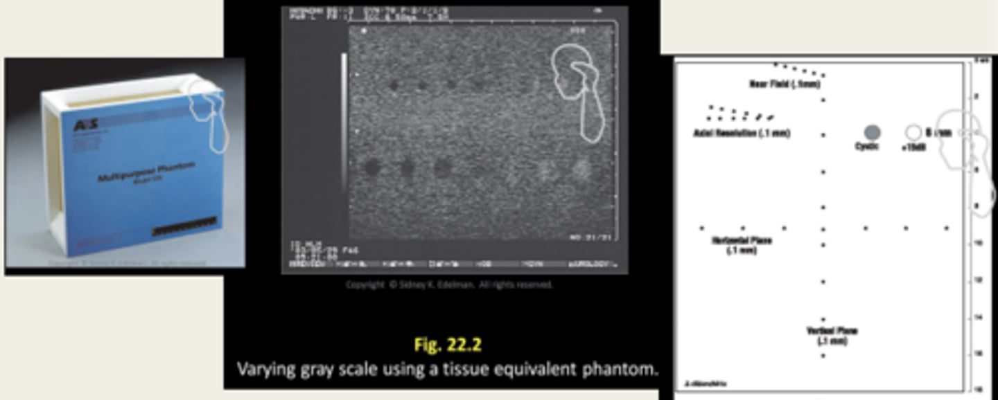 <p>Water-based gelatin with graphite and nylon-line targets throughout to mimic tissue with a propagation speed of 1540 m/s</p>