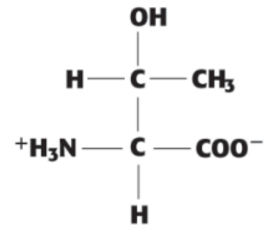 <p> (Thr, T). polar, uncharged</p>