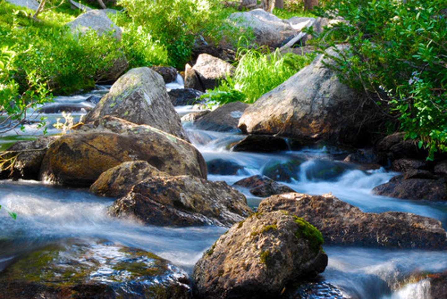 <p>The speed in which water and any suspended sediment moves through a stream.</p>