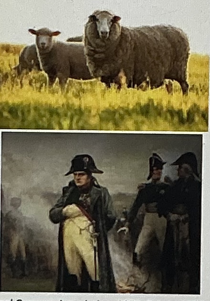 <p>Illegally brought in 1802, Napoleon</p>