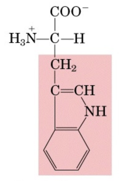<p>What’s this aminoacid?</p>