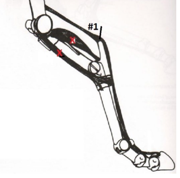 <p>What is this muscle? What joints does it move? Where does it originate and insert? (1)</p>