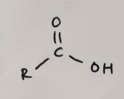 <p>nitrile hydrolysis </p>