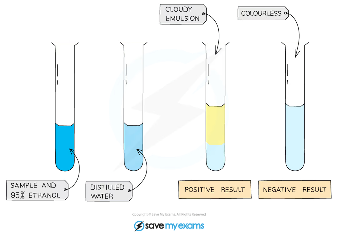 <ul><li><p>mix the food sample with <strong>4cm<sup>3</sup> of ethanol </strong>and shake</p></li><li><p>allow time for the sample to dissolve </p></li><li><p>strain the ethanol solution into another test tube</p></li><li><p>add the solution to an equal volume of <strong>cold distilled water</strong></p></li><li><p>a positive test will show a <strong>cloudy emulsion </strong>forming</p></li></ul><p></p>