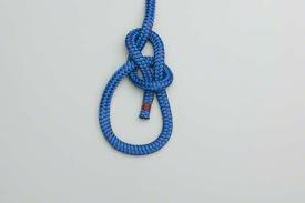 <p>Bowline knot</p>