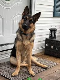 <p><span><span>&nbsp;los consumidores</span></span></p><p></p>