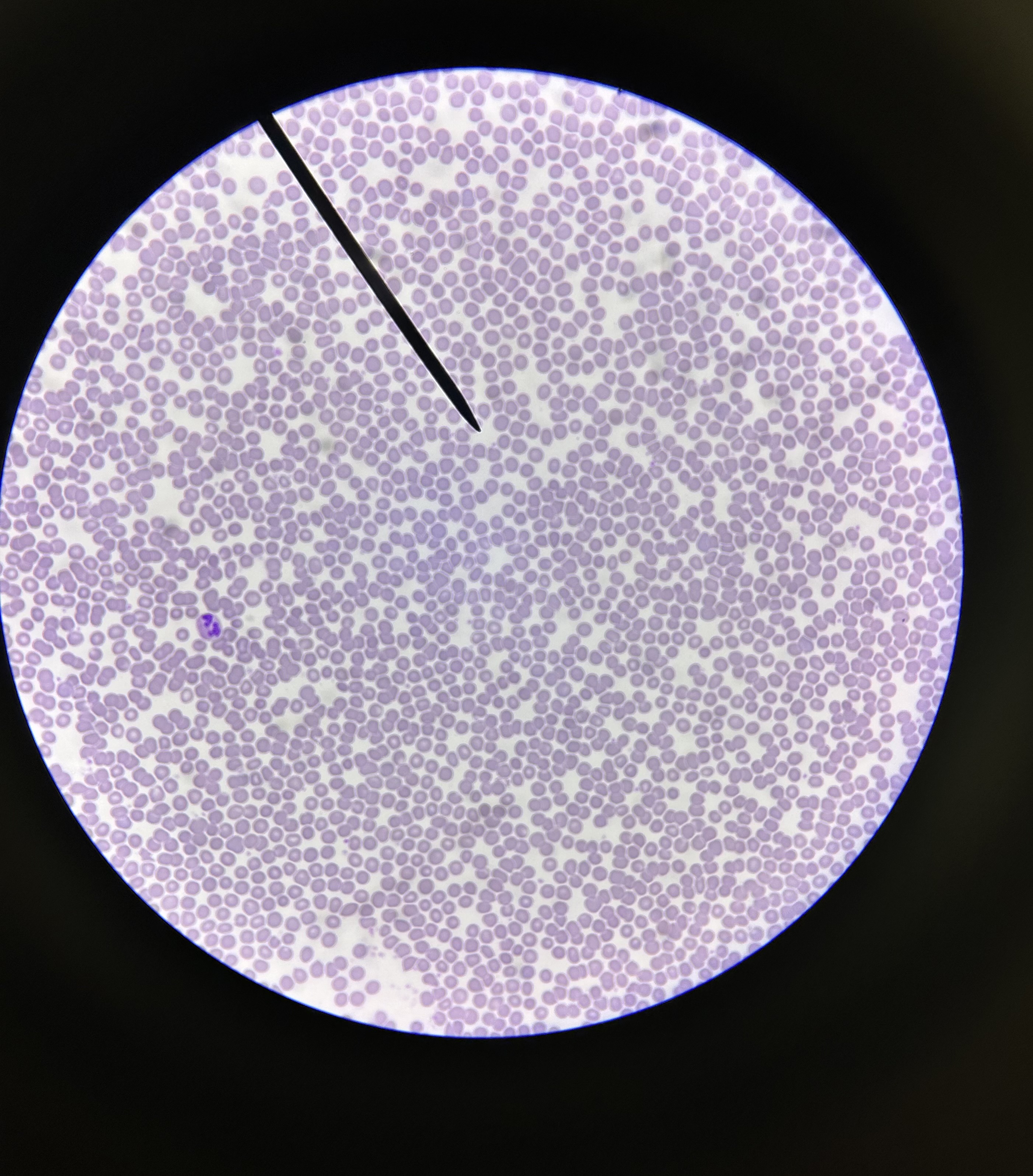<p>What is this?</p>