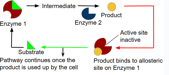 <p>prevents excess products</p>