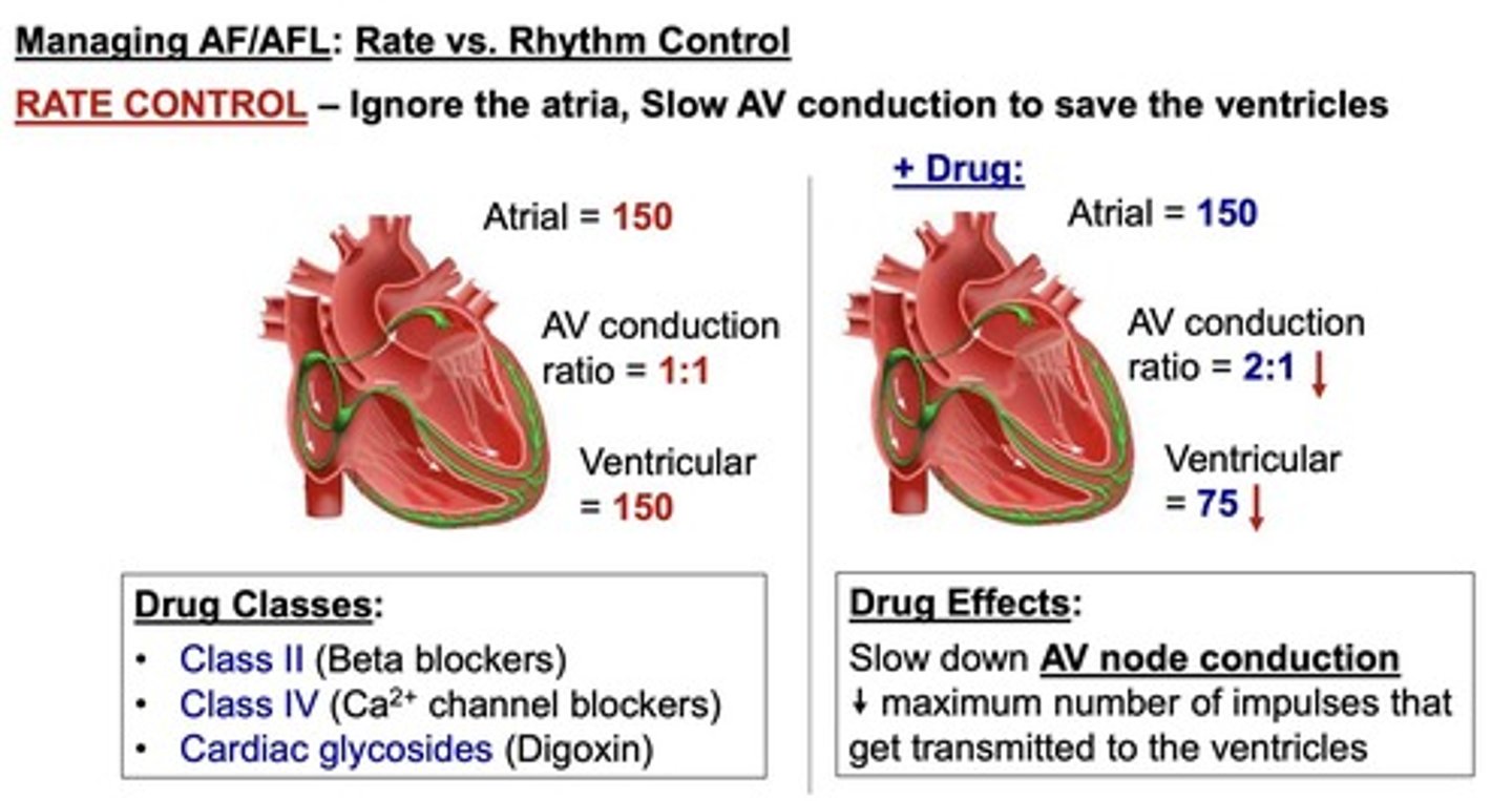 <ul><li><p><u>rate </u>control <u>slows </u>AV conduction (e.g., β-blockers)</p></li><li><p><u>rhythm</u> control aims to <u>restore</u> sinus rhythm (e.g., Na+ and K+ channel blockers).</p></li></ul><p></p>