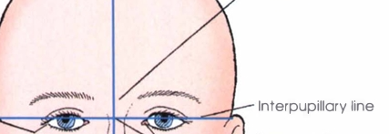 <p><span style="color: oklch(0.3039 0.04 213.68);">Interpupillary line</span></p>