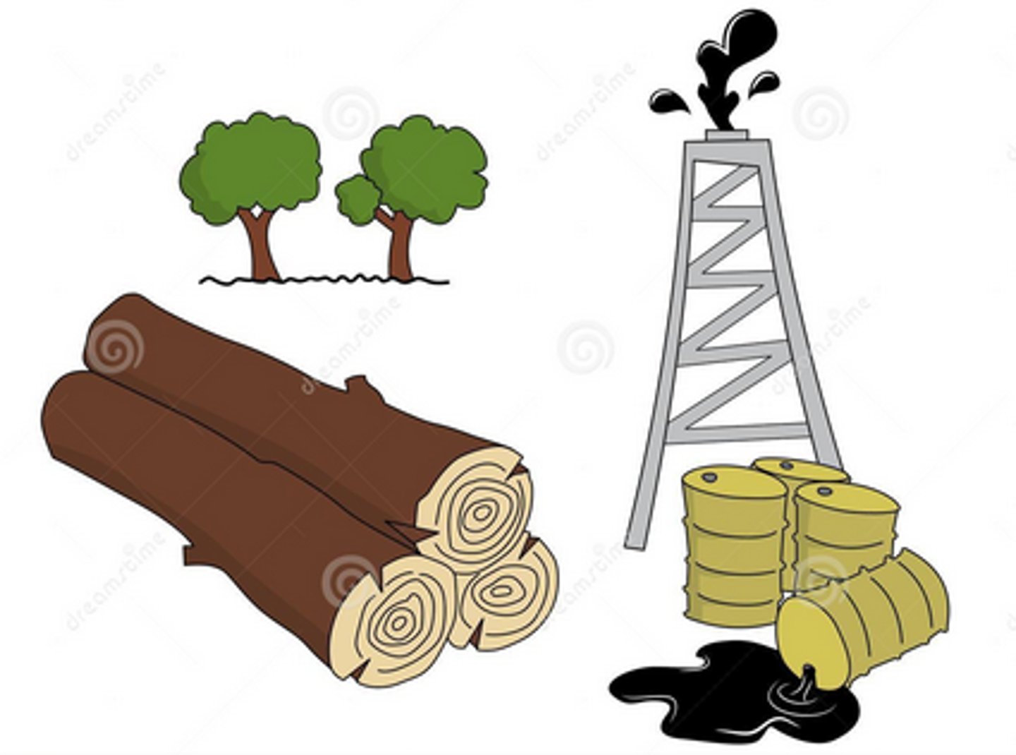 <p>los recursos naturales</p>