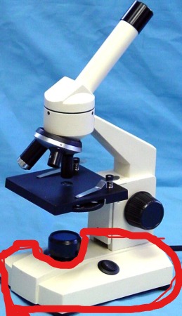 term image