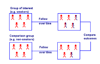 <ul><li><p>basically were comparing a group exposed to a risk factor (smoking) to those not</p></li><li><p>we follow them overtime, and see if the outcome we believe develops (ex: lung cancer)</p></li></ul>