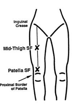 <ul><li><p>vertical skinfold</p></li><li><p>anterior aspect of the thigh midway between hip to top of patella bone</p></li></ul><p></p>