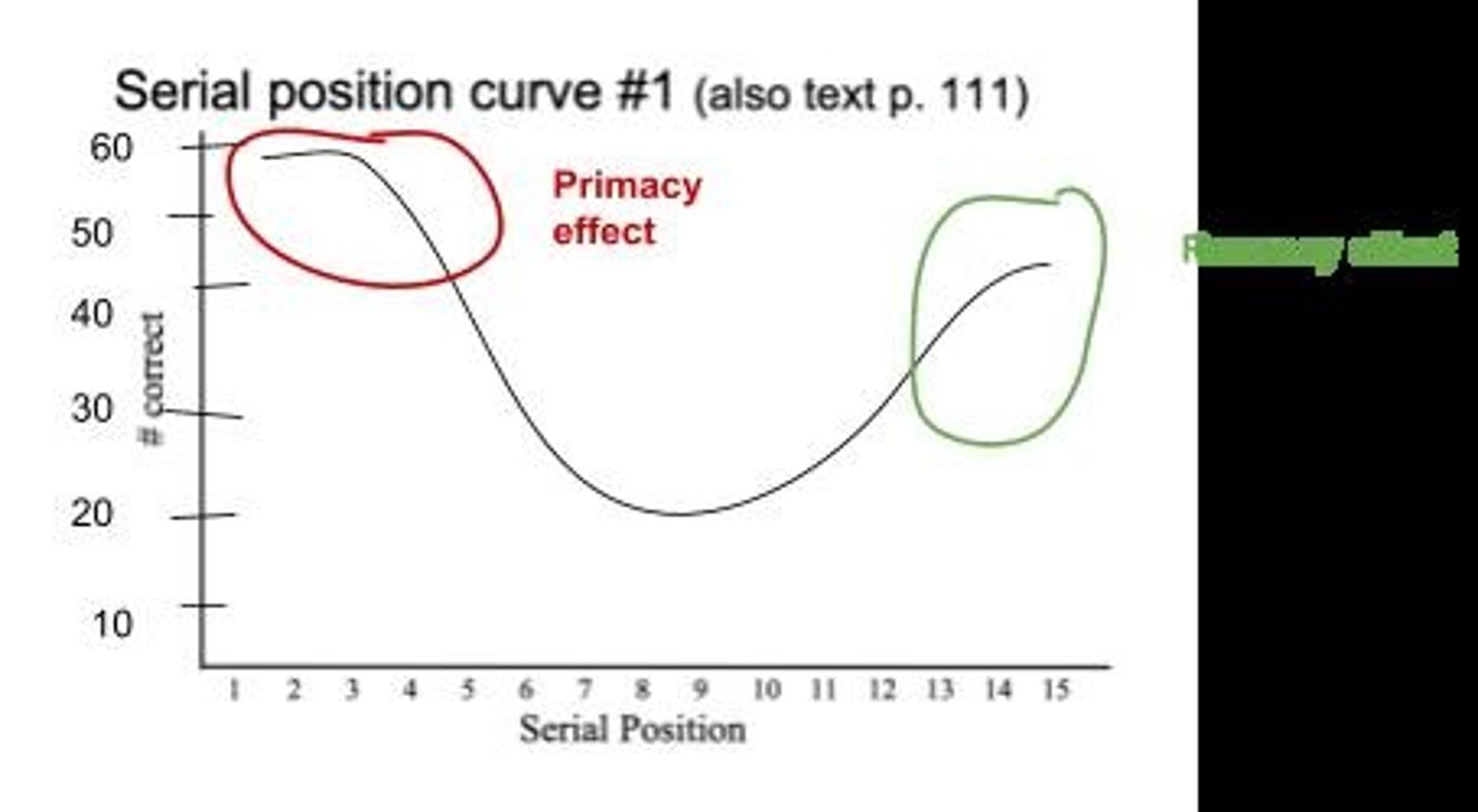 <p>It demonstrates the primary and recency effects, showing that people remember the first and last items in a list better than those in the middle.</p>