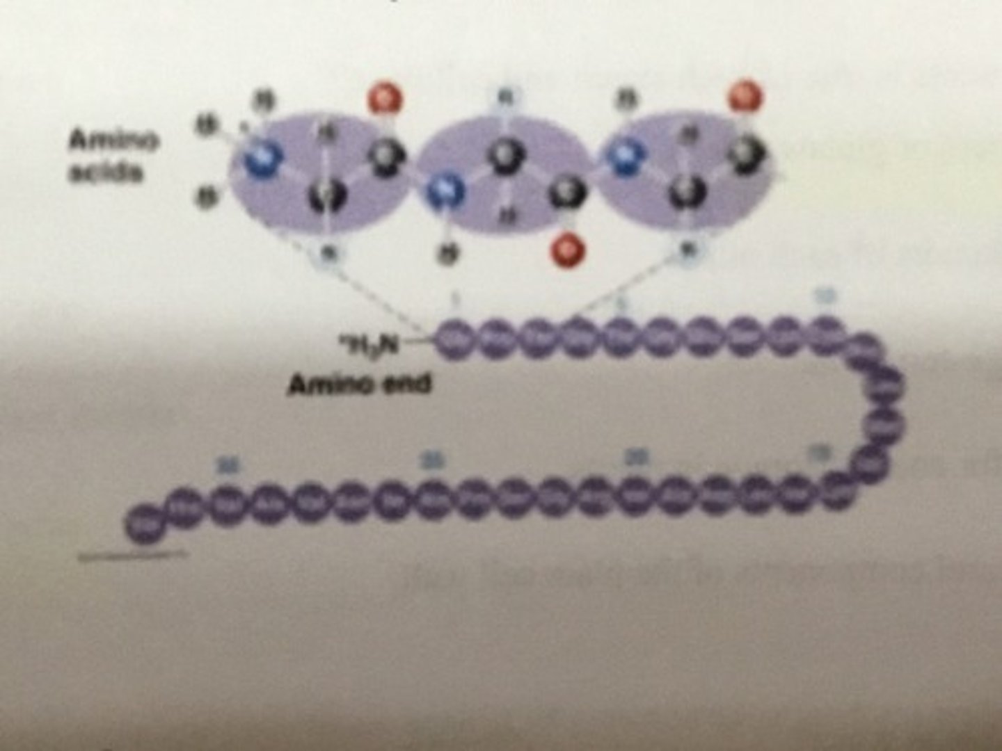 <p>The structure in the image is characterisitic of what level of protein structure?</p>