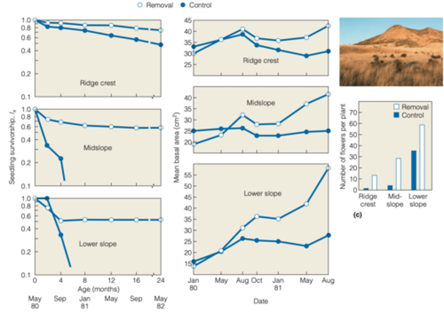 <p>WHAT WAS ITS PURPOSE?</p><p>- looked at the growth of plants on 3 different slopes </p><p>- neighboring plants were removed which impacted the growth rates of some other plants </p><p>----------------</p><p>RESULTS:</p><p>- graph showed distinction between growth rates when one neighboring plant was removed on 1 of the 3 different slopes</p><p>- ridge crest showed the least difference </p>
