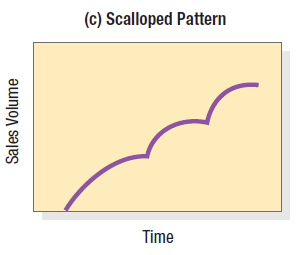 scalloped pattern
