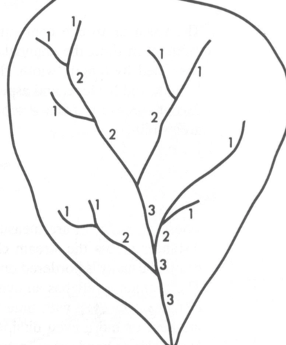 a measure of the relative size of streams